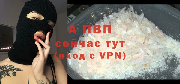 индика Лабытнанги