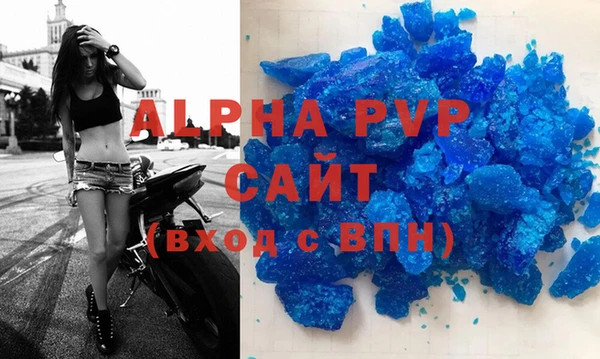 ECSTASY Ладушкин