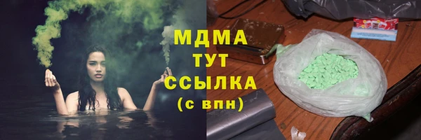индика Лабытнанги