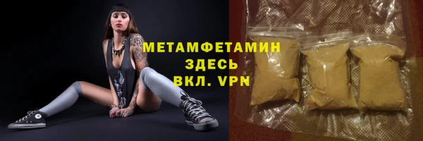 индика Лабытнанги