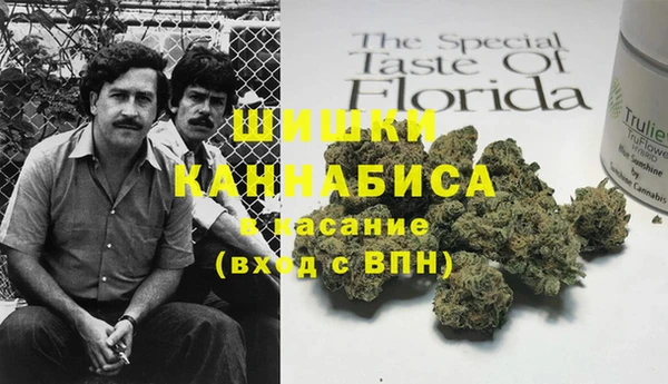 ECSTASY Ладушкин
