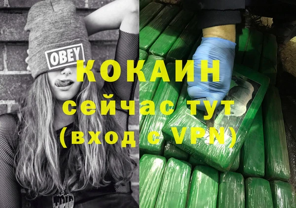 индика Лабытнанги