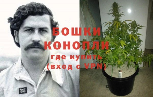 стаф Лагань
